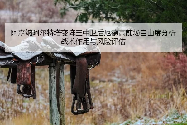 阿森纳阿尔特塔变阵三中卫后厄德高前场自由度分析战术作用与风险评估