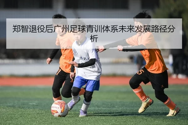 郑智退役后广州足球青训体系未来发展路径分析